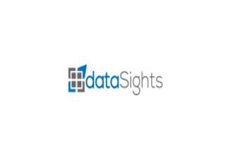 datasights